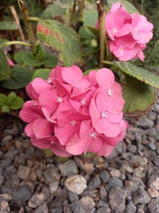 הוילה Moya  Zenda De Fontanales מראה חיצוני תמונה